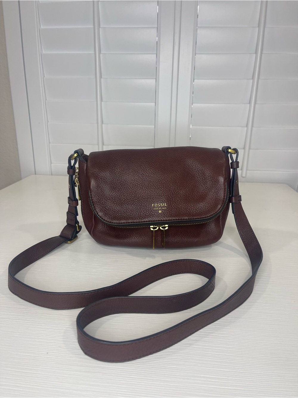 Fossil Pebbled Leather Crossbody Bag